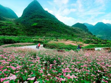 An toàn trong chuyến đi