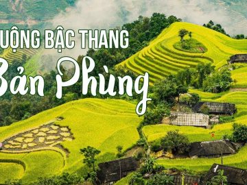 ROYAL SU PHI HA GIANG Saison du riz mûr